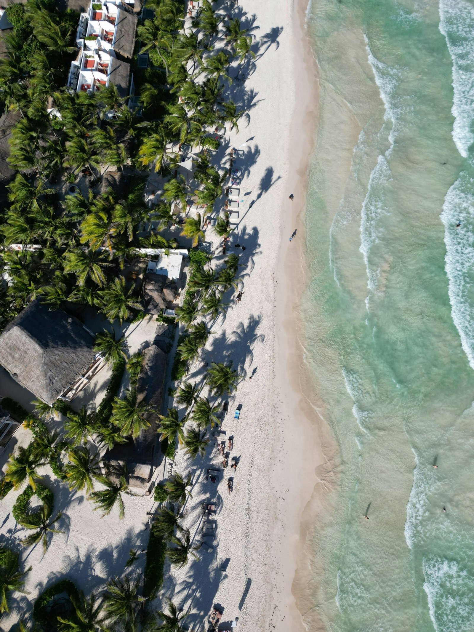 Beach View